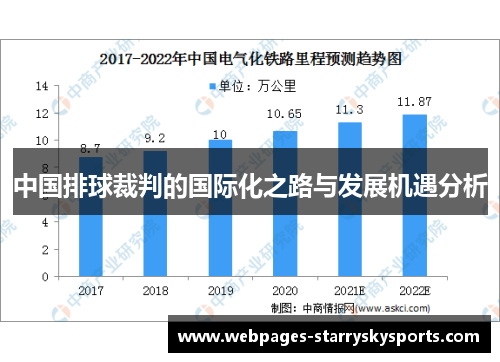 中国排球裁判的国际化之路与发展机遇分析