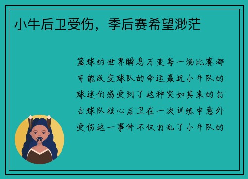 小牛后卫受伤，季后赛希望渺茫